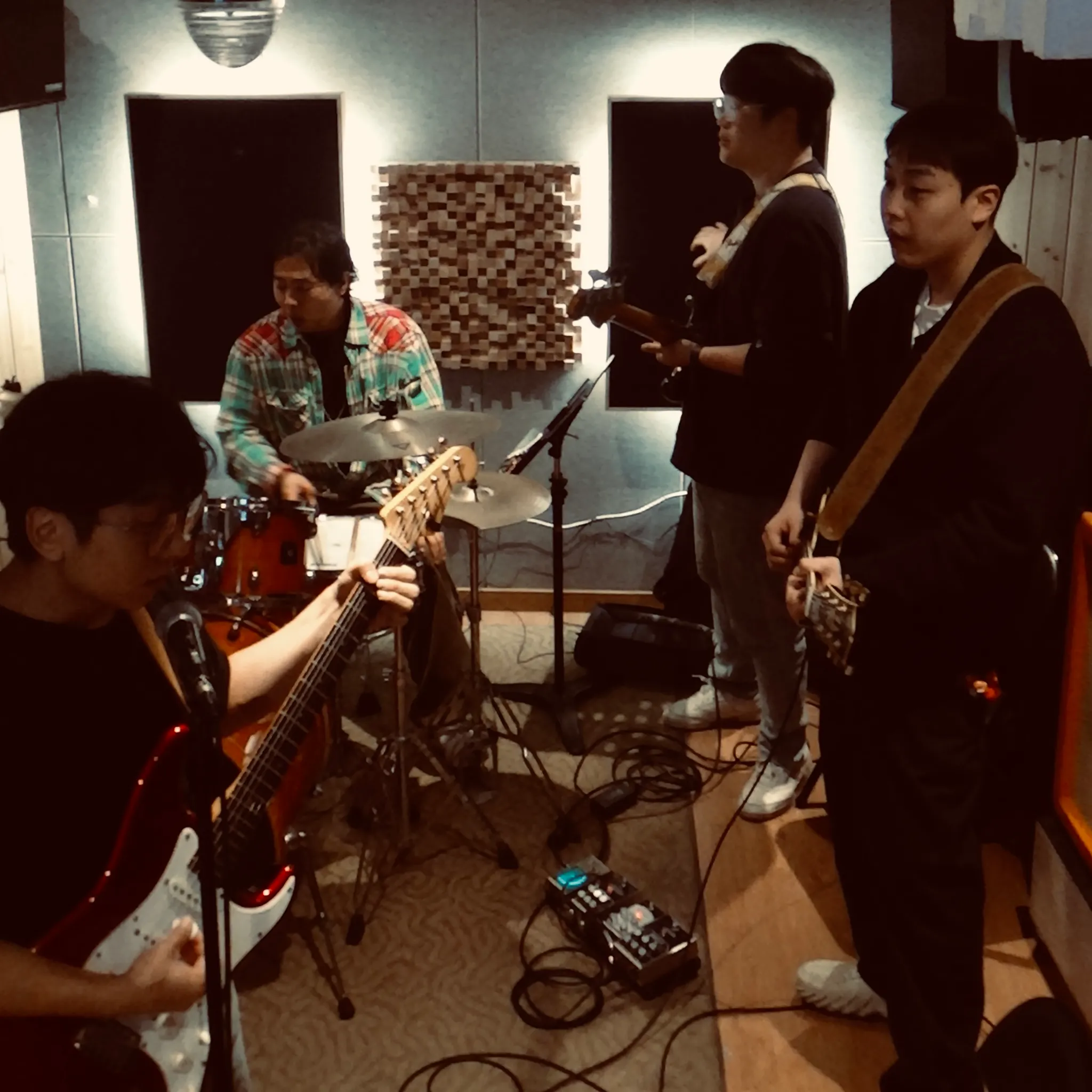 삵